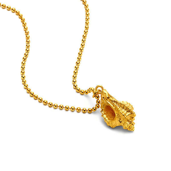 Small Conch Horn Gold